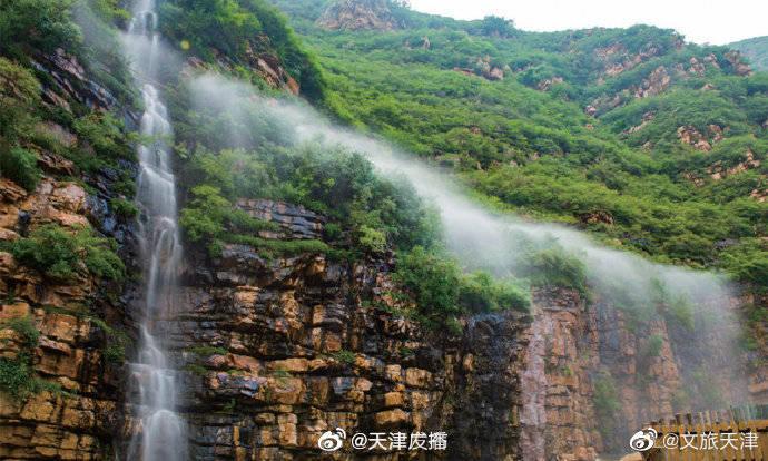 燃烧吧大脑装瓶子游戏