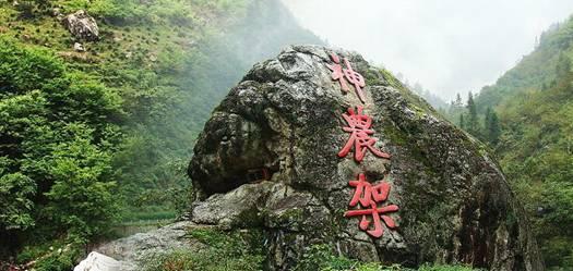 天干气燥,潘高寿支招润喉止咳的水果大餐
